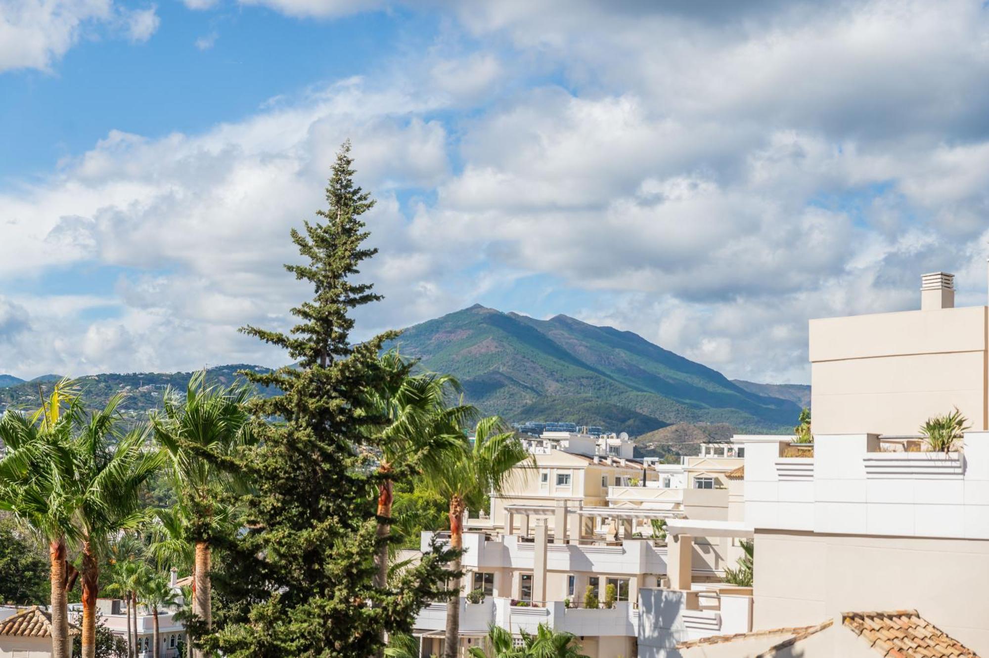 Newly Renovated Sunlit 3 Bdrm With Stunning Views Appartement *